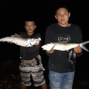 Meet your Posher, Gabriel